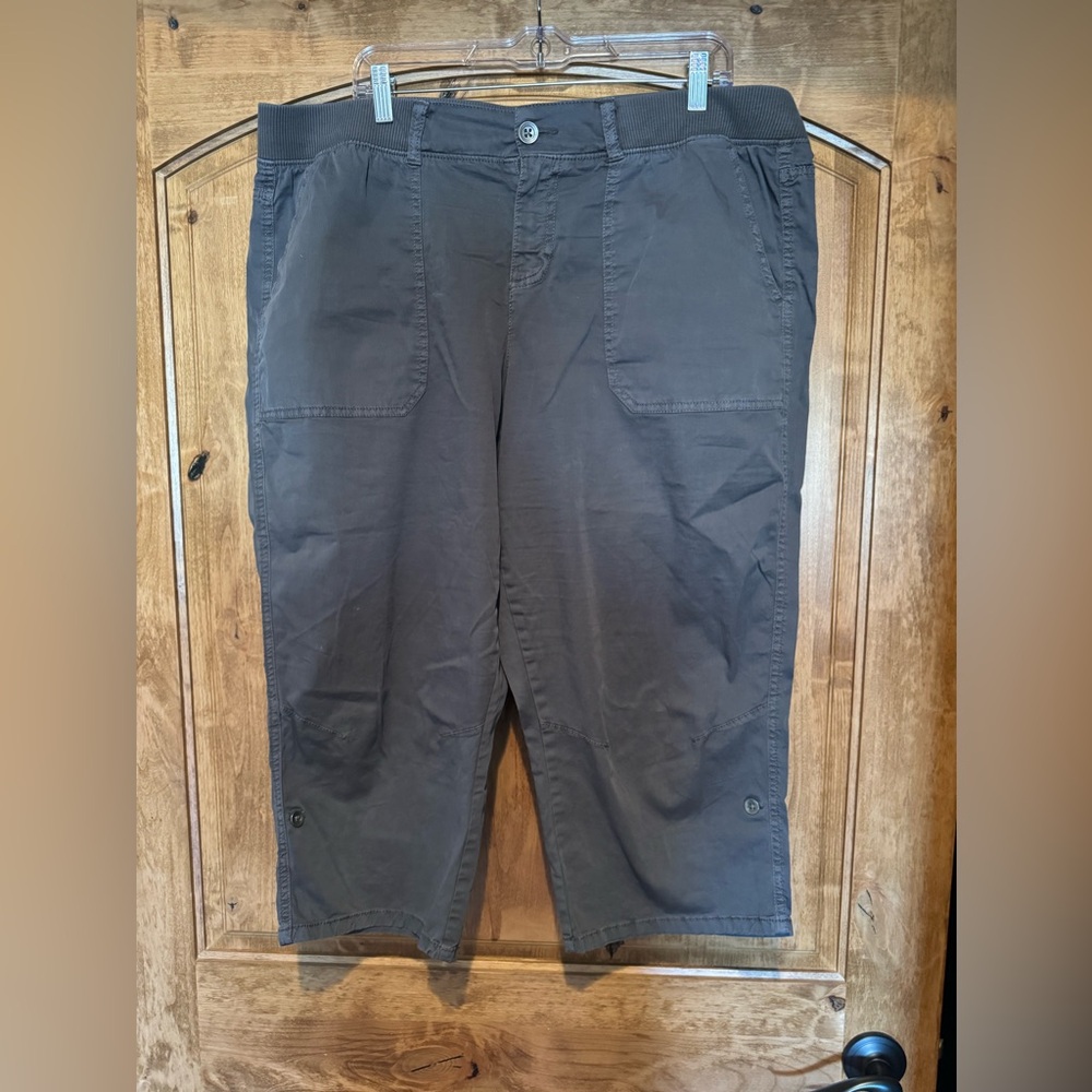 Capri Pants by Evri-Size 16W
